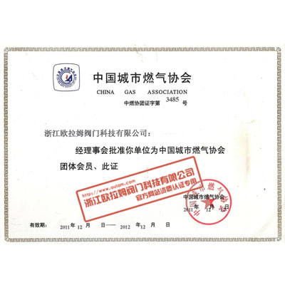 中国燃气协会会员