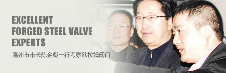 市长陈金彪考察欧拉姆